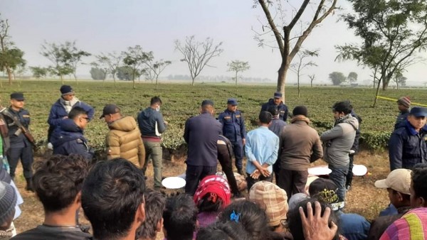 झापाको एक चिया बगानमा युवक र युवती मृत फेला